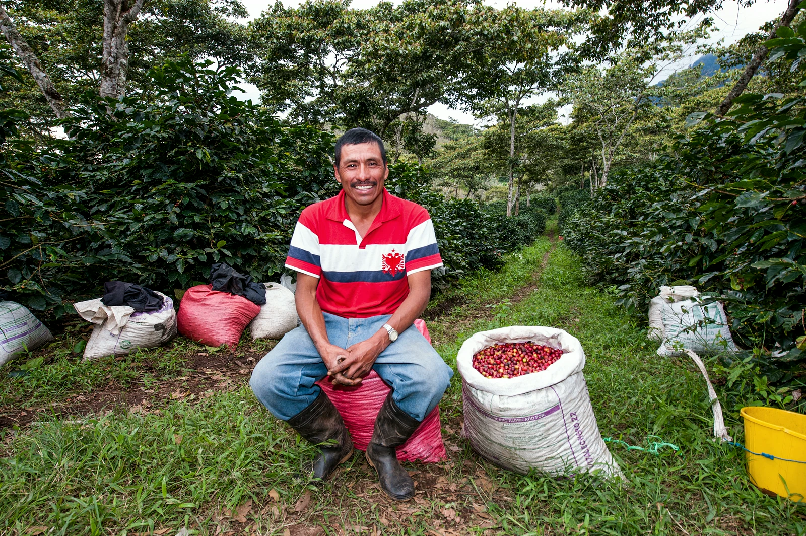 Productor de café retratado durante el rodaje documental para APC Colombia y Red Adelco en Honduras